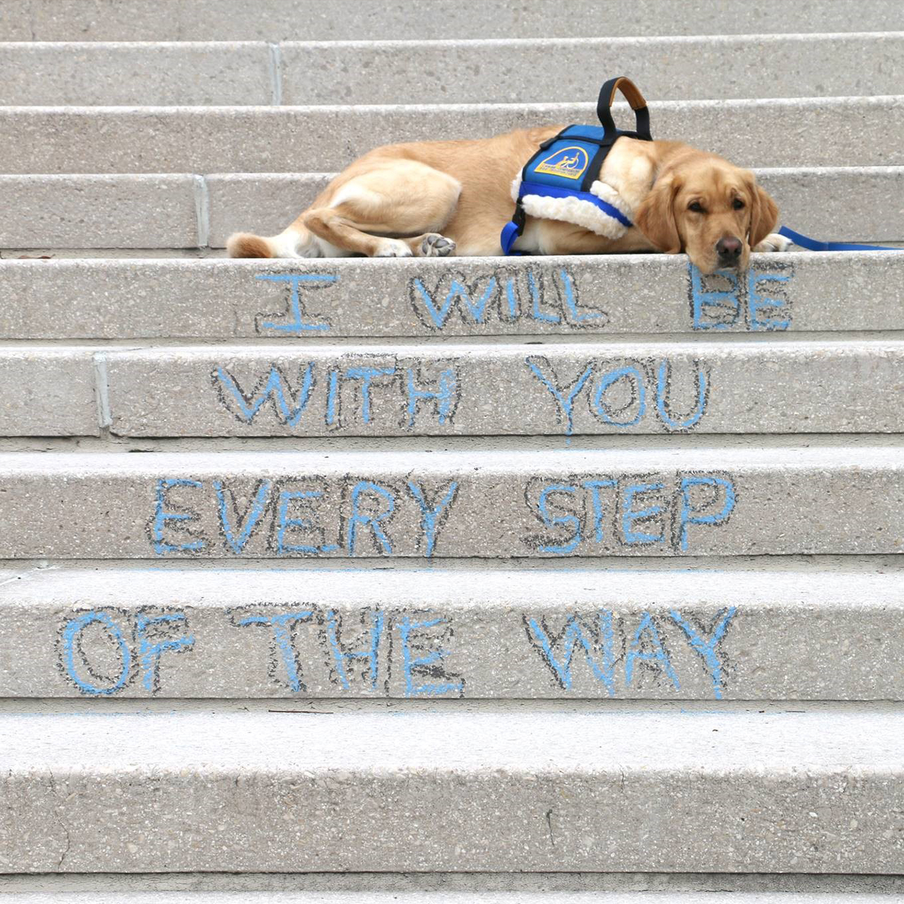 K9th Circuit Program | Ninth Judicial Circuit Court of Florida