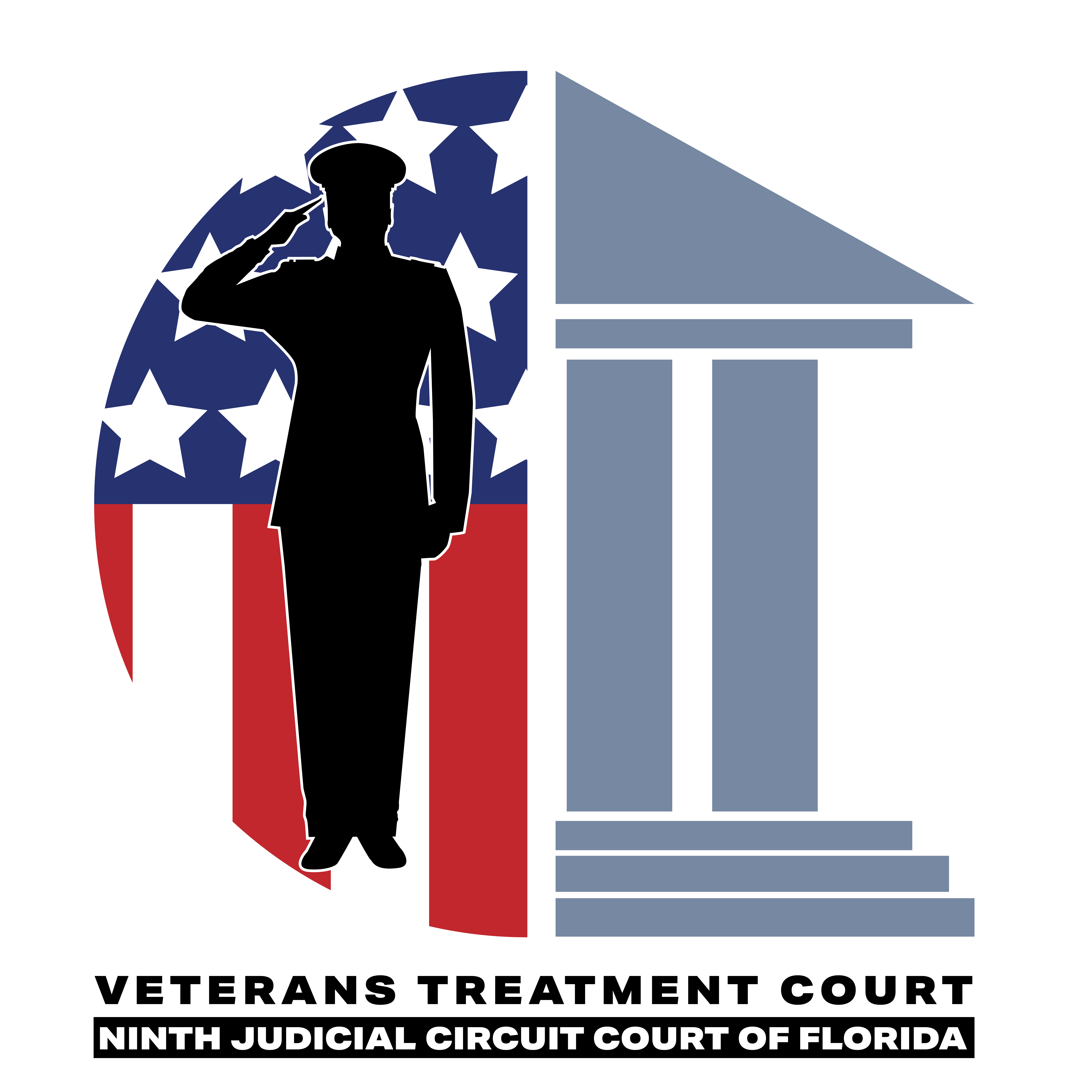 Veterans Treatment Court Logo
