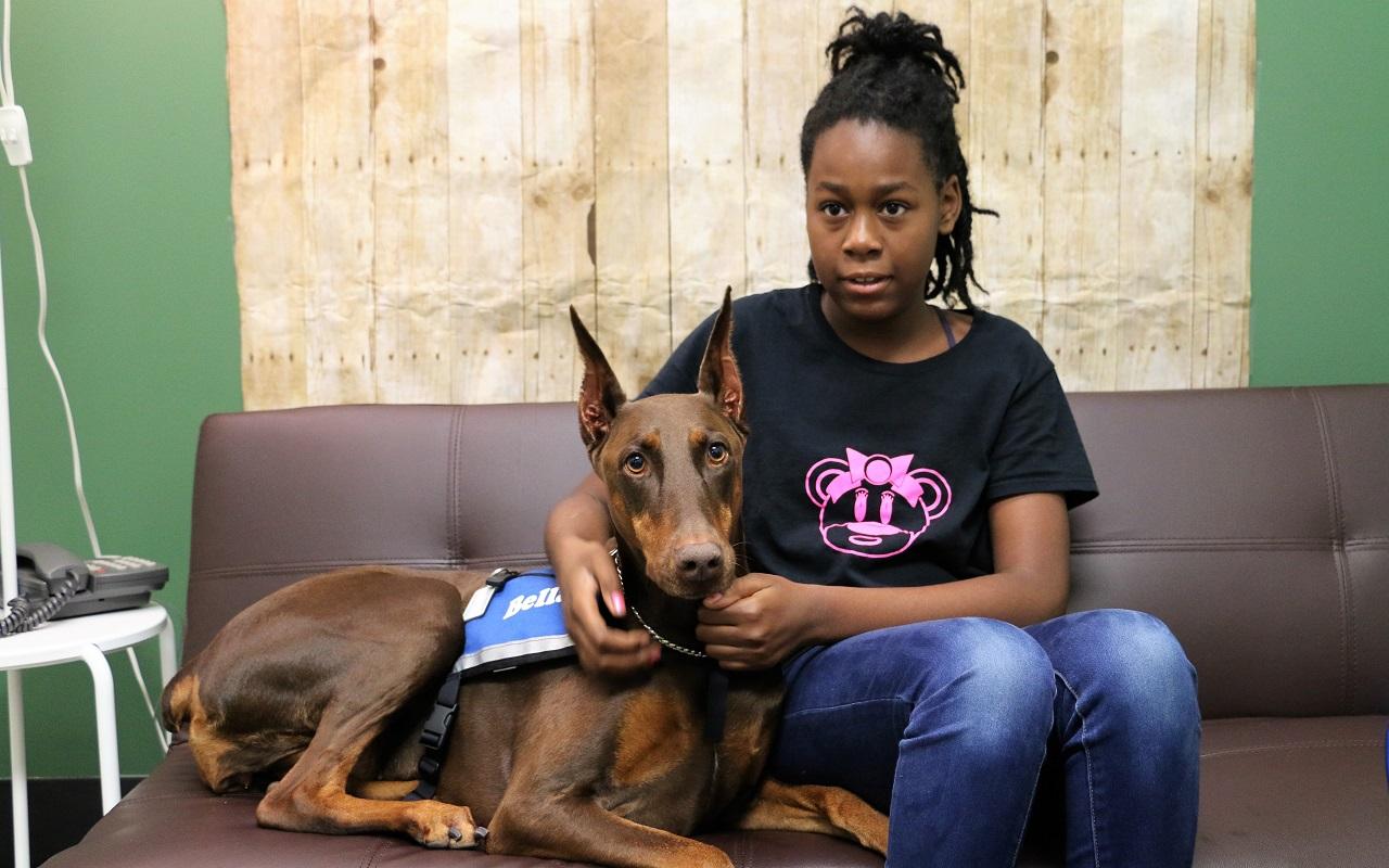 K9th Circuit Program - Bella, therapy dog